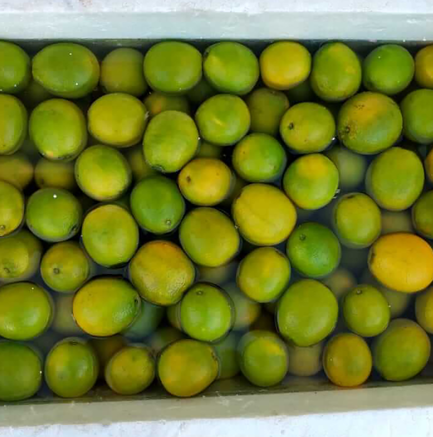 higienizacao_alimentos